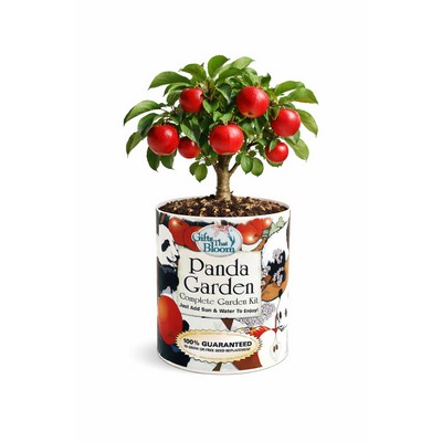 Panda Garden in Eco-Friendly Grocan