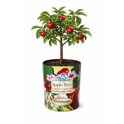 Apple Tree Garden in Eco-Friendly Grocan